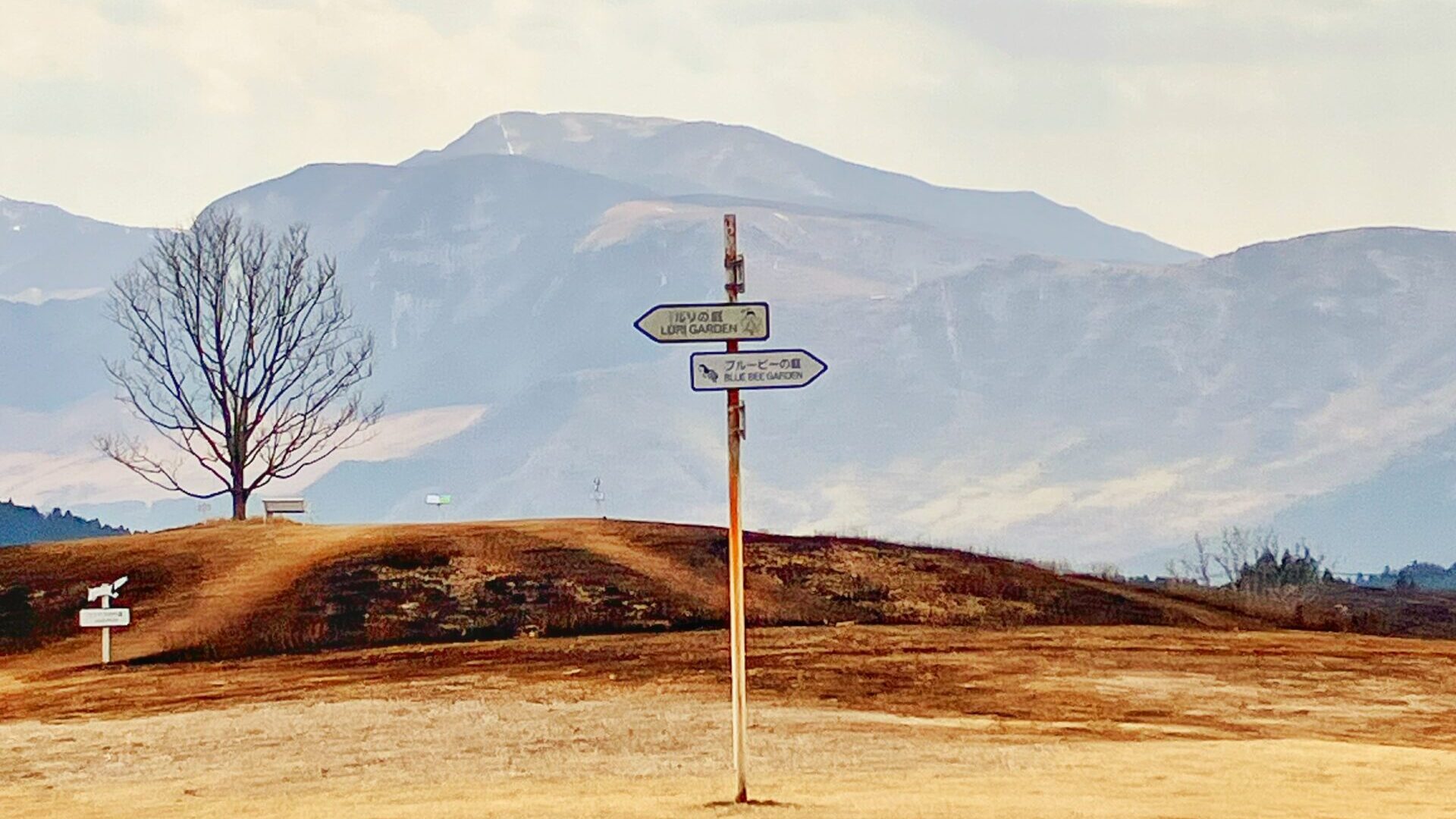 阿蘇の山と庭