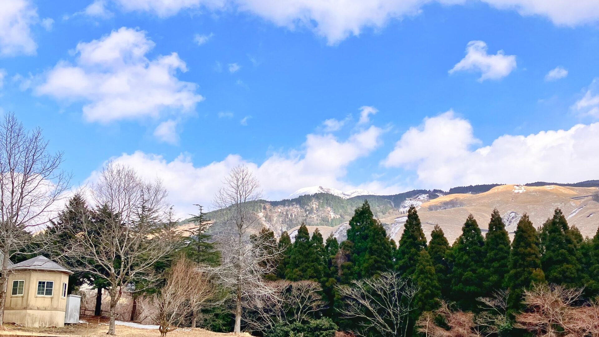 美術館の外観と阿蘇の山