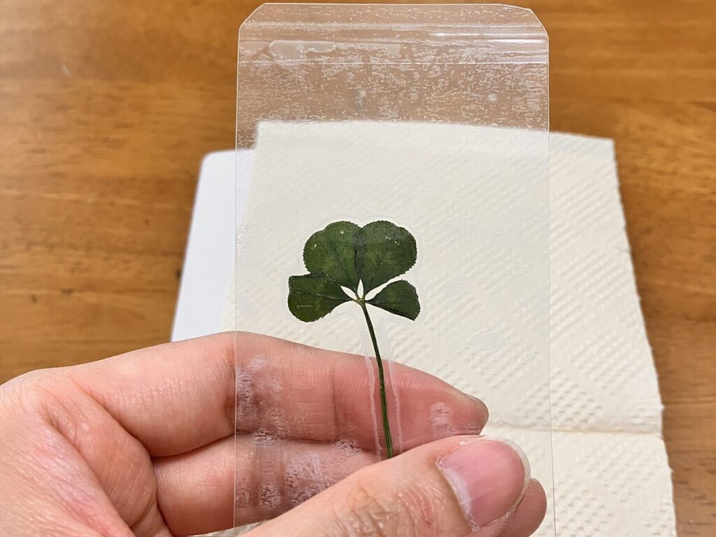 ラミネートで作った四つ葉のクローバーのしおり