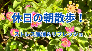 【休日の朝散歩】効果抜群!ストレス解消&リフレッシュ